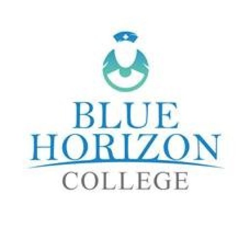 Student Portal Blue Horizon College
